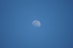 青空に浮かぶ月