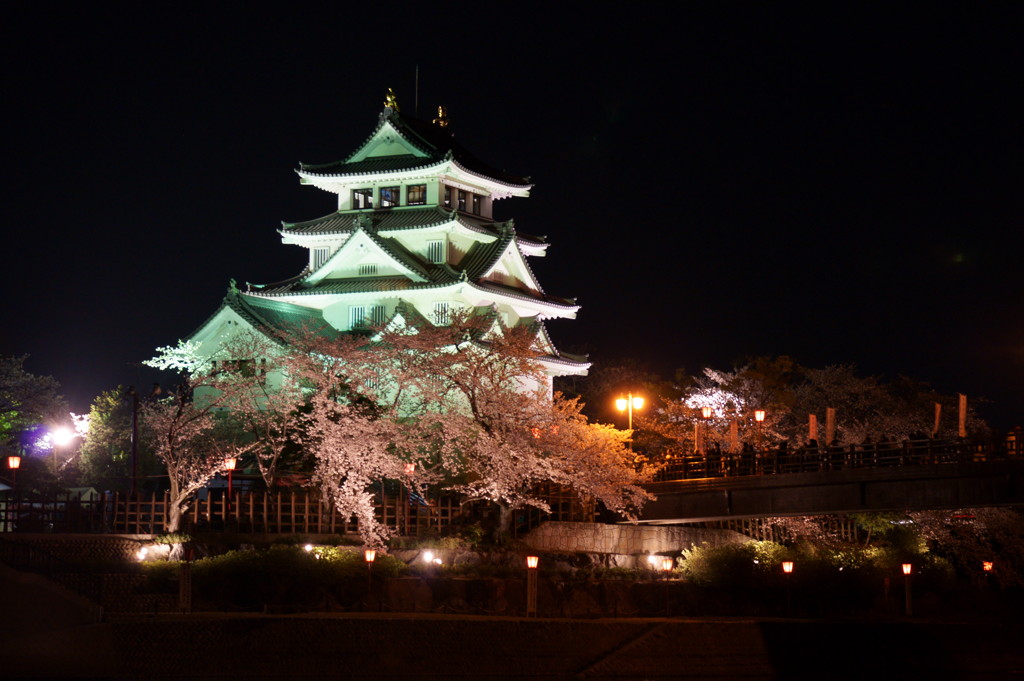 夜桜
