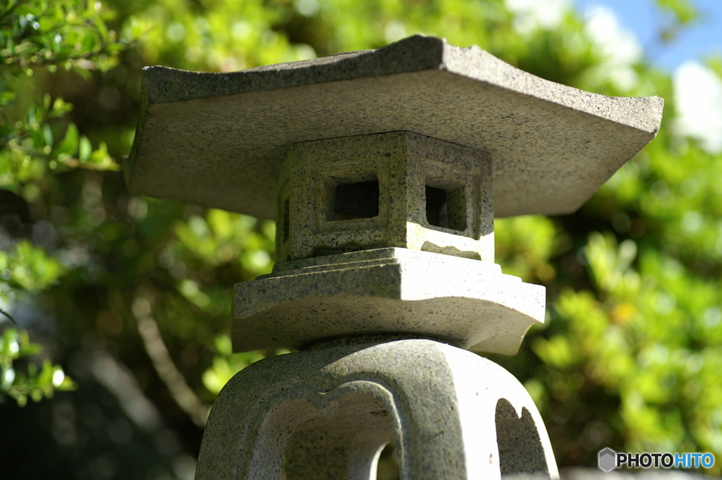 夏の日差し