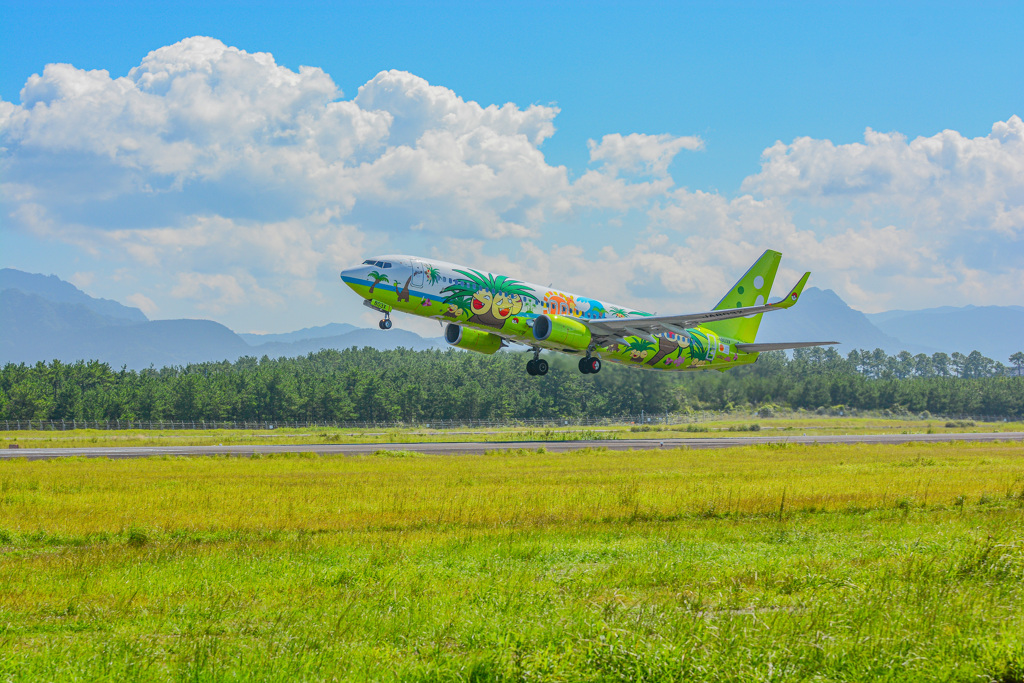 青空とナッシー