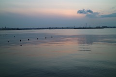 AD786573-B78E-4946-9301-485EDBEE8159