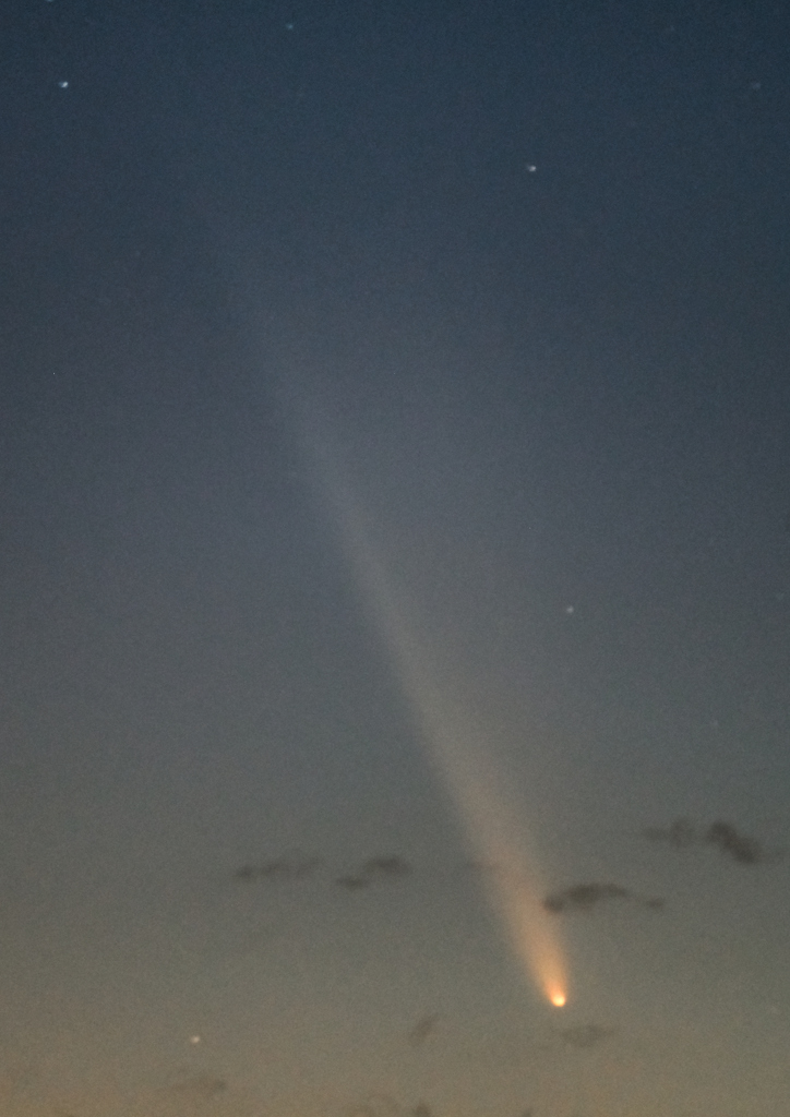 紫金山・アトラス彗星