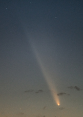 紫金山・アトラス彗星