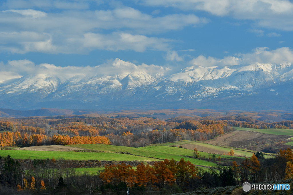 紅葉と十勝岳連峰