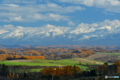 紅葉と十勝岳連峰