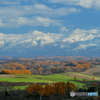 紅葉と十勝岳連峰