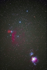 オリオン座の星雲