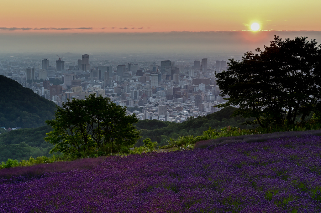 早朝の風景