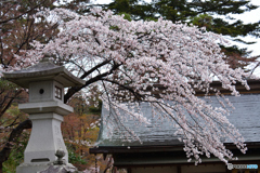 04-01