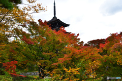 曇天と五重塔