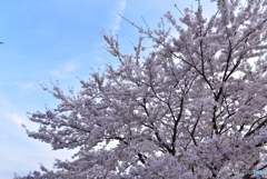 04-23