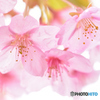 04-08