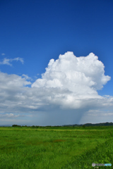 雨の根源