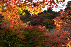 秋本番