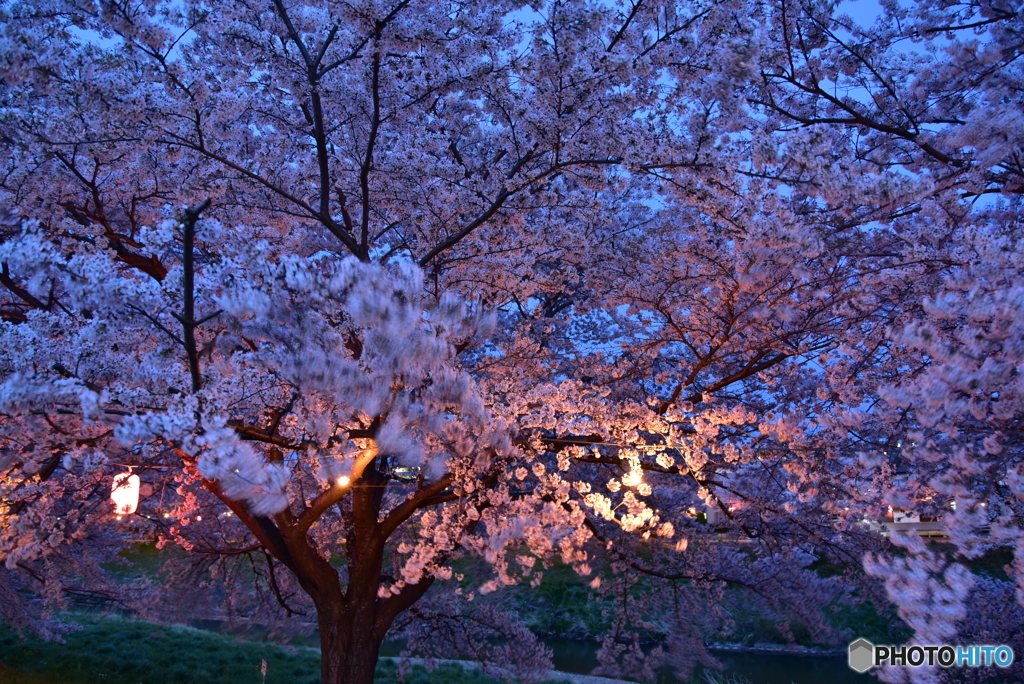 04-24