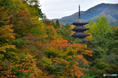 五重塔