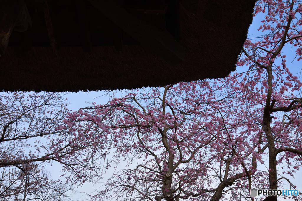 040309