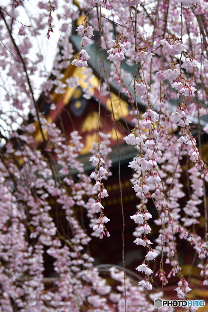 04-04