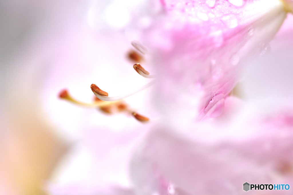 D75_2431