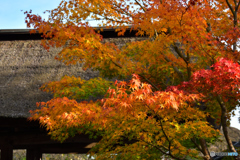 松島円通院　山門