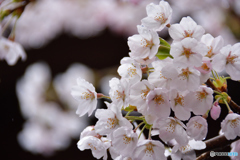04-05
