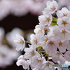 04-05