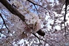 04-22