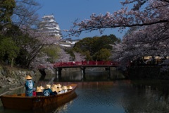 桜と船と姫路城