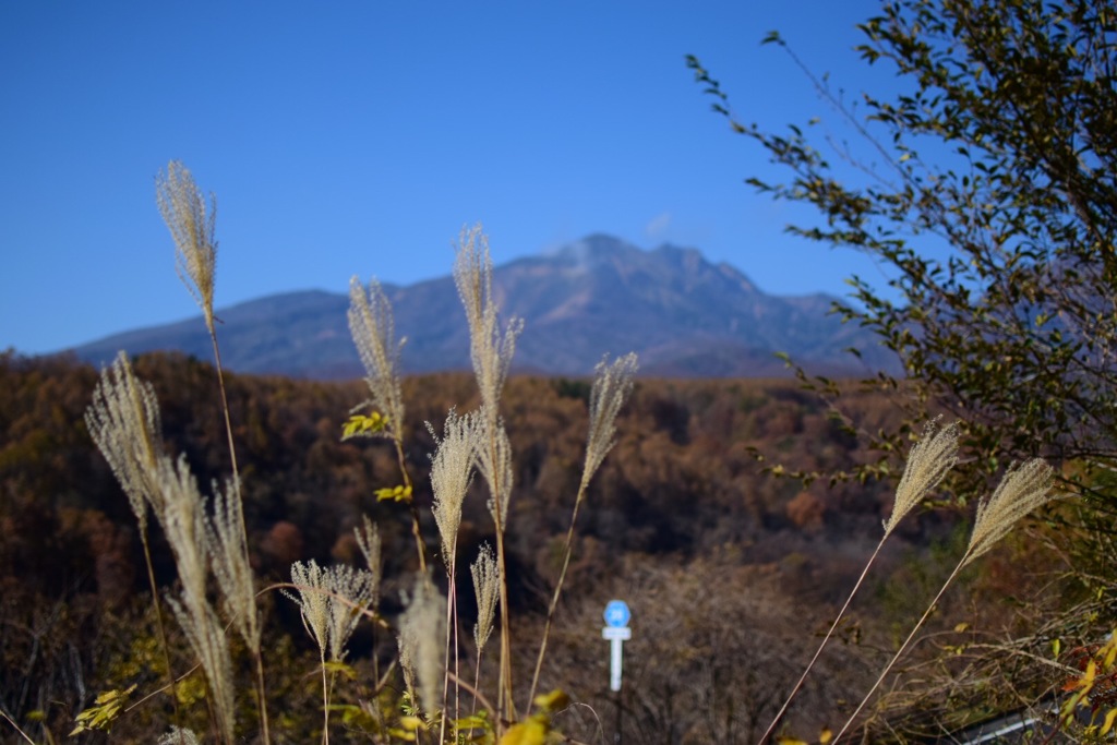 秋の香り