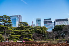 自然とビルと空と