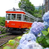 あじさい電車