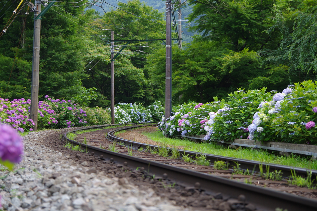 箱根登山鉄道