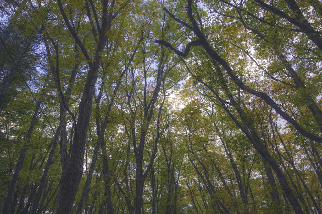D02DB024-C74B-49F9-A543-AADA319D9667