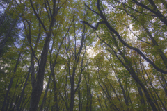 D02DB024-C74B-49F9-A543-AADA319D9667