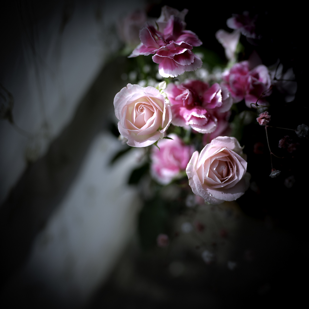9CA782E3-7339-40D3-B96F-106D8DC11DC5