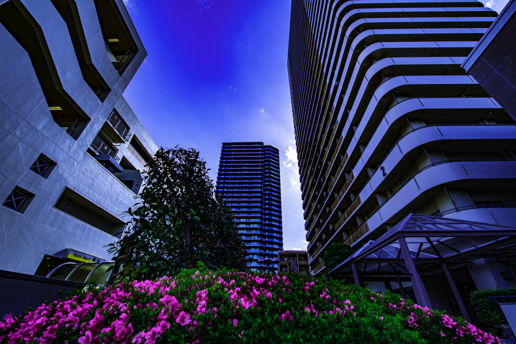 002_00004-16mm