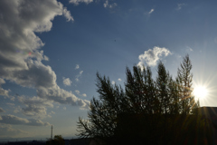 CF923608-5B1C-419E-8B2A-A8425EBEC61B
