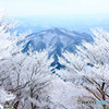 樹氷その１