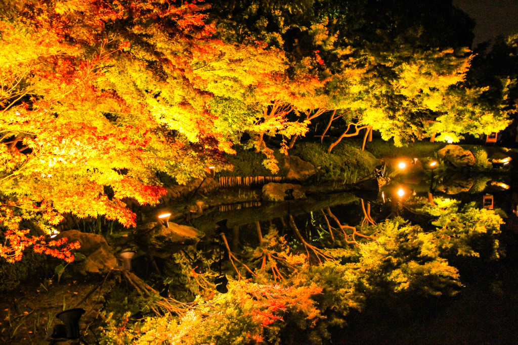 紅葉狩り