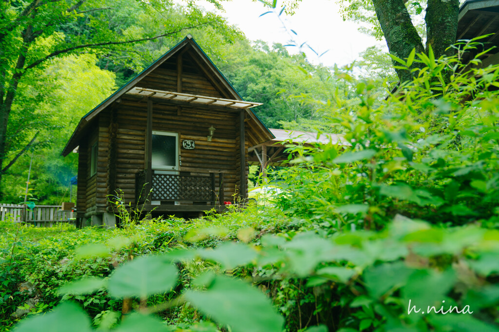 森の中の小屋