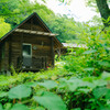 森の中の小屋