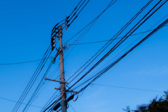 電信柱