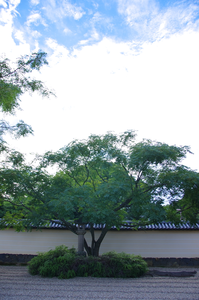 東大寺戒壇院