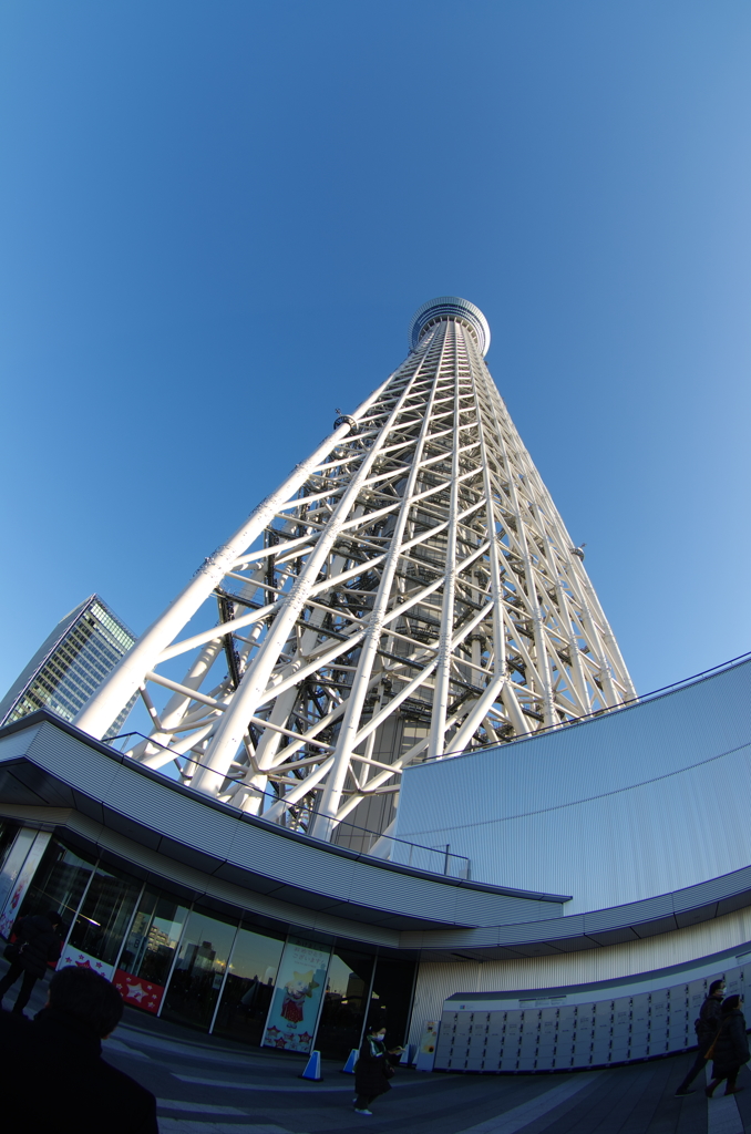 スカイツリー