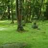 奈良・苔の庭
