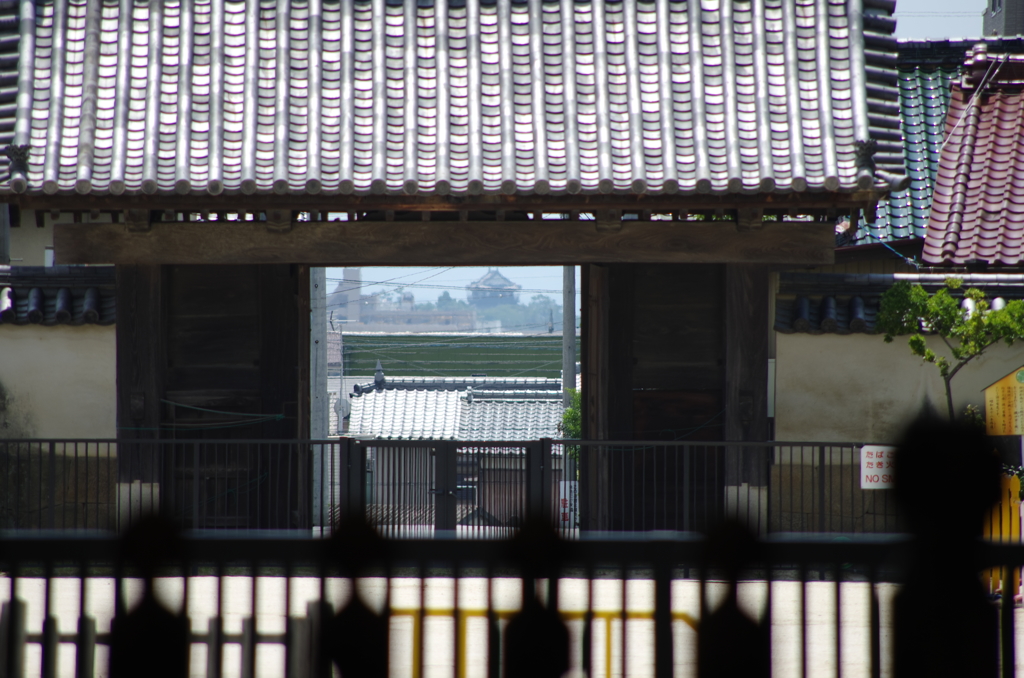 大樹寺から岡崎城