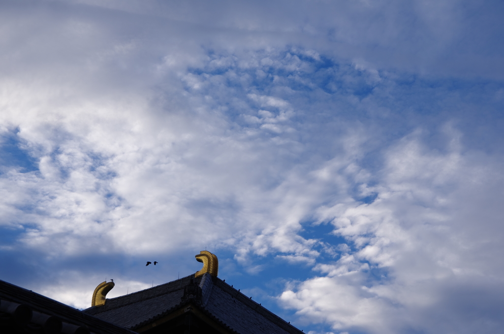 東大寺大仏殿