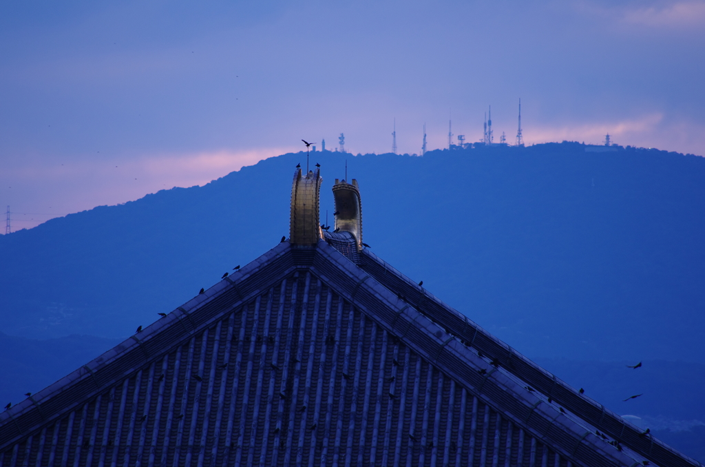 東大寺大仏殿屋根