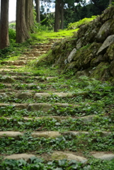 七尾城石段
