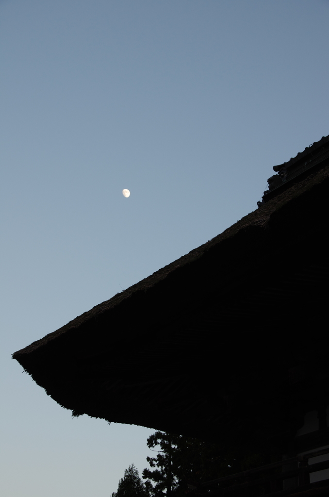 沙沙貴神社